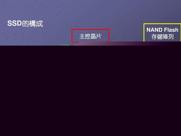 BWIN官网官网入口：宠咕咕饮水机测评，科技提升幸福感，萌宠终于爱上喝水了